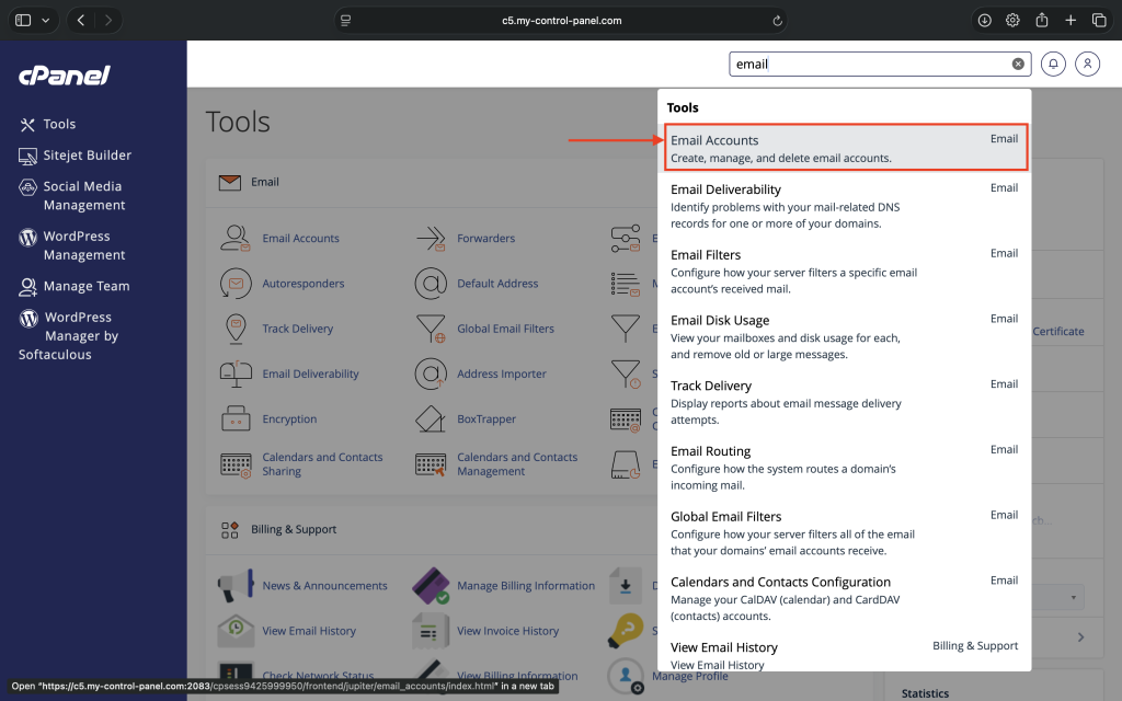 Custom Domain Email Accounts Search in Cpanel