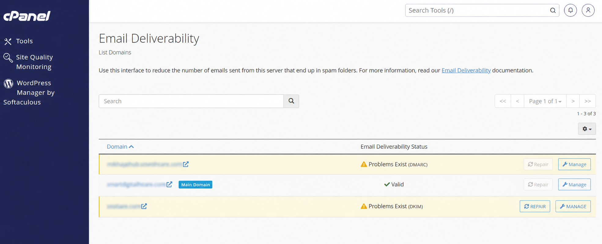 Email Deliverability page in cPanel showing domain status