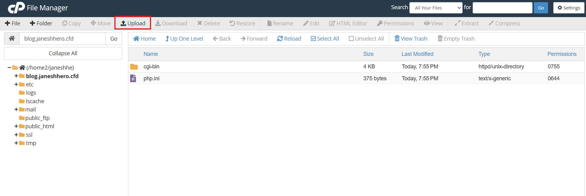 Upload Your Website Files Through File Manager